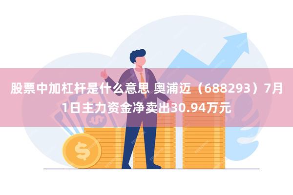 股票中加杠杆是什么意思 奥浦迈（688293）7月1日主力资金净卖出30.94万元