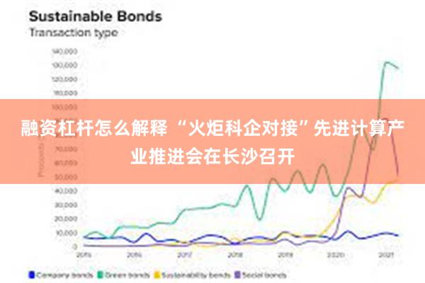 融资杠杆怎么解释 “火炬科企对接”先进计算产业推进会在长沙召开