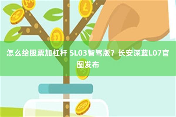 怎么给股票加杠杆 SL03智驾版？长安深蓝L07官图发布