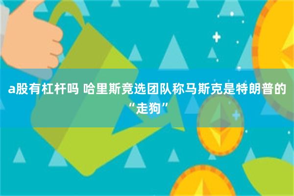 a股有杠杆吗 哈里斯竞选团队称马斯克是特朗普的“走狗”